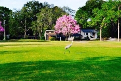 Golf-Course-004