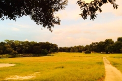 Golf-Course-006