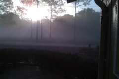 Golf-Course-010