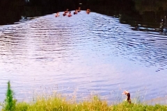 Golf-Course-014