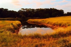 Golf-Course-015