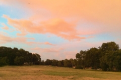 Golf-Course-016
