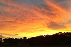 Golf-Course-017