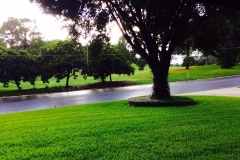 Golf-Course-021
