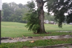 Golf-Course-022