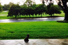 Golf-Course-023