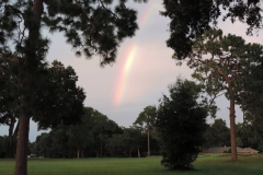 Golf-Course-030