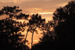 Golf-Course-031