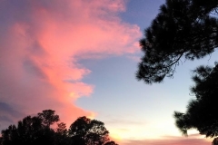 Golf-Course-032