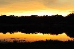 Golf-Course-041