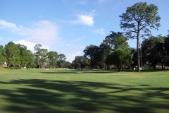 Golf-Course-045
