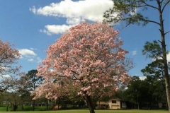 Golf-Course-047