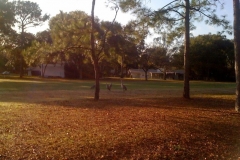 Golf-Course-050