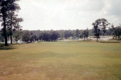golf-course-vinatage-001