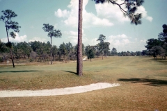 golf-course-vinatage-002