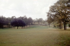 golf-course-vinatage-004
