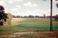 golf-course-vinatage-005